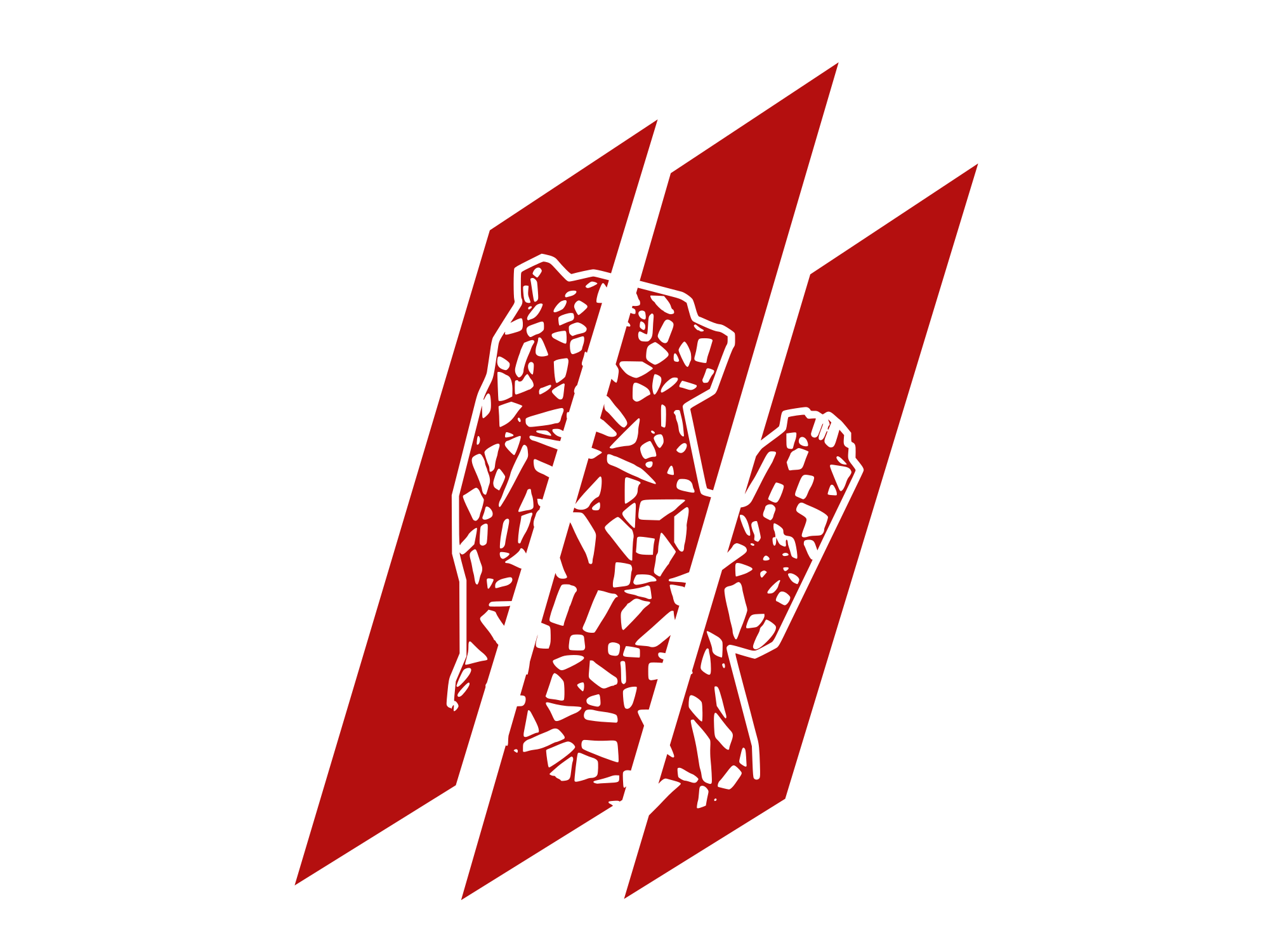 The geometric Brizzlebears team identity.